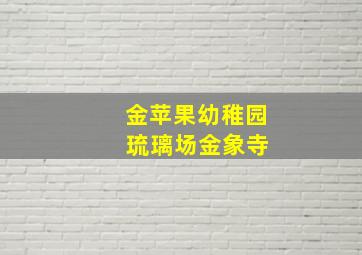 金苹果幼稚园 琉璃场金象寺